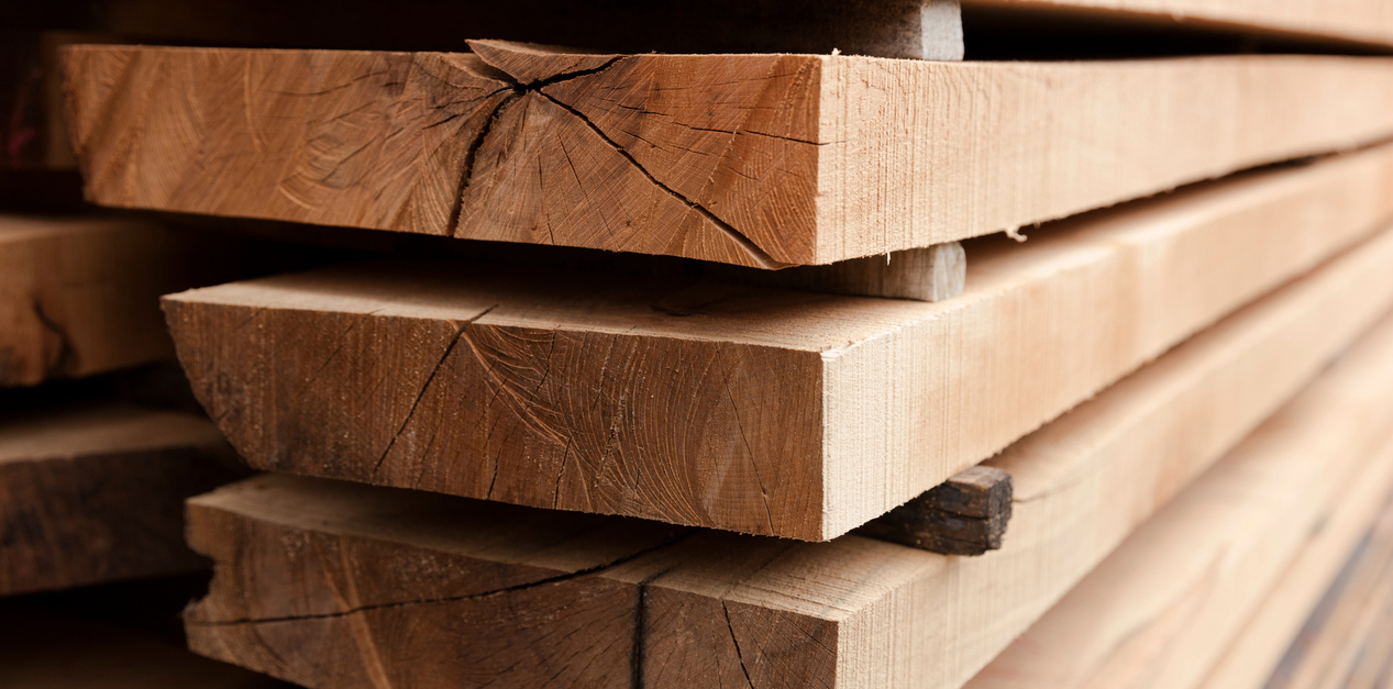 All you need to know about timber