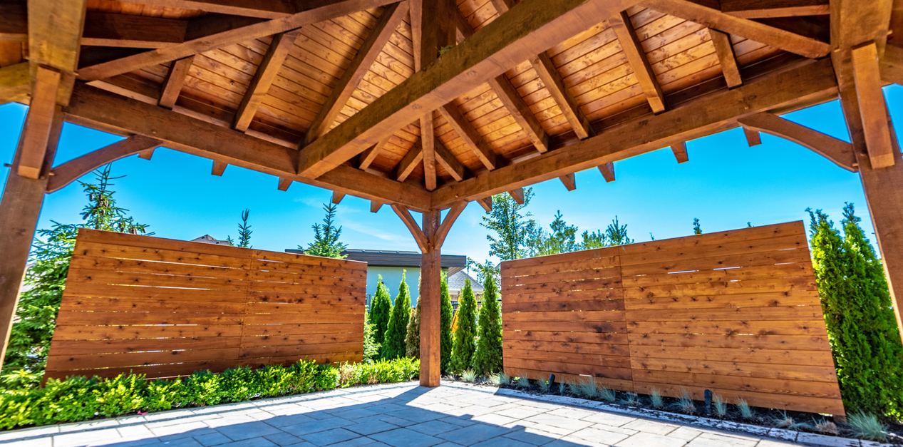 Everything You Need to Know About Douglas Fir